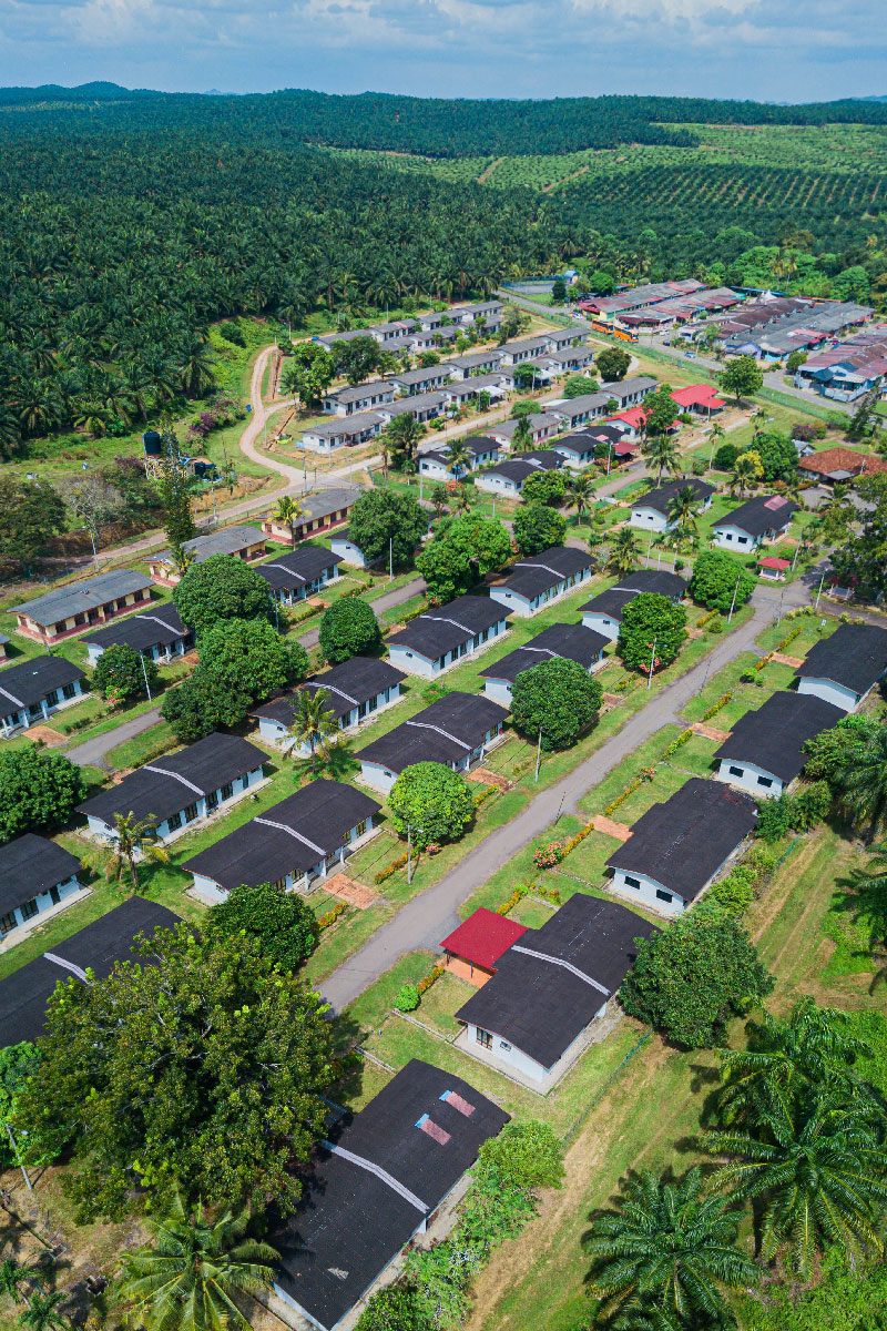 https://www.shuladevelopers.co.za/wp-content/uploads/2023/06/aerial-drone-view-of-oil-palm-plantations-land-and-2022-11-11-21-21-51-utc-1.jpg