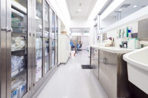 Empty Storage Room With Supplies In Modern Hospital Building